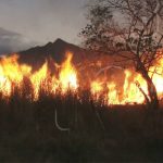incendios forestales