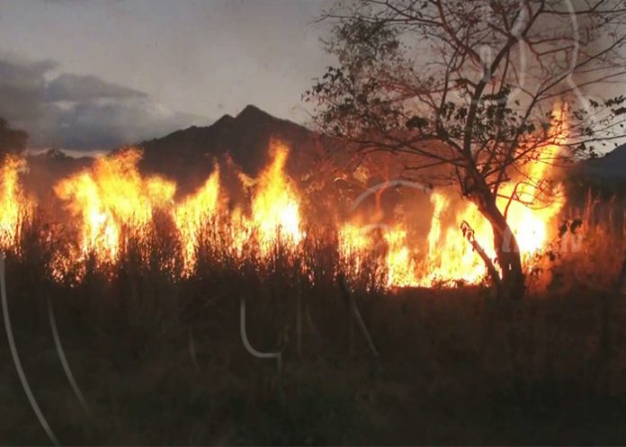 incendios forestales
