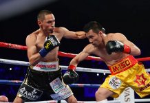Gallo Estrada se medirá en combate de revancha ante Rungvisai