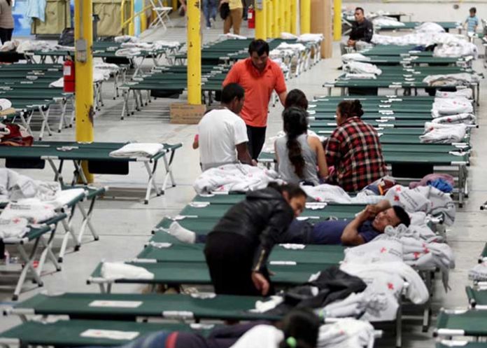 TEXAS nino guatemalteco