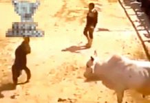 La impresionante cornada a un torero mexicano valiente hombre