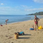 VIDEO: Aparecen criaturas extrañas en isla de Tailandia extranas criaturas
