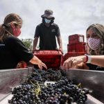 Cepal insta a proteger los derechos de las mujeres cepal