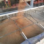 Llegan 33 mil toneladas de trigo provenientes de Rusia a Nicaragua chinandega