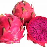 Impulsarán en Honduras plantaciones de pitahayas y marañón fruta tropical