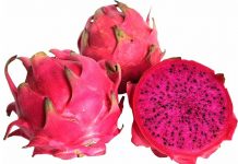 Impulsarán en Honduras plantaciones de pitahayas y marañón fruta tropical