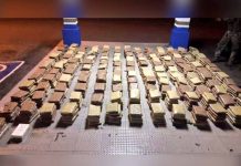 Panamá: Incautan más de 700 paquetes de marihuana y detienen a narcos panama
