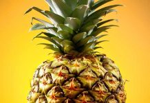 Autoridades españolas decomisan piñas ticas rellenas de cocaína pina