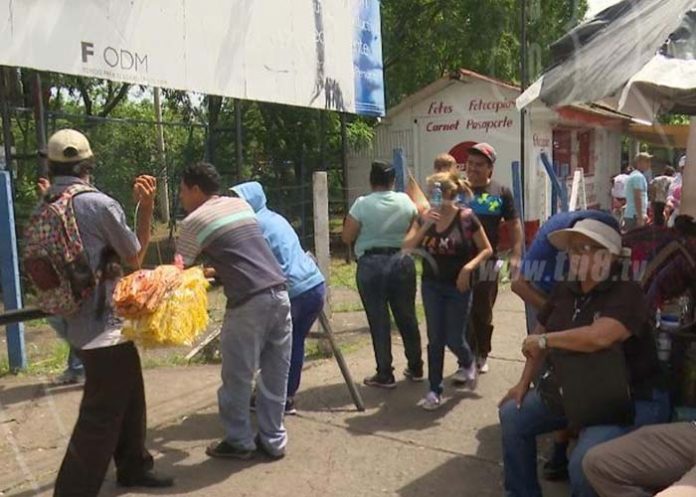 trabajadores por cuenta propia