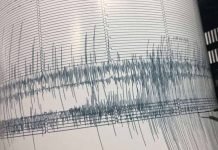 Sismos sacuden varios países de América del Sur sismografo