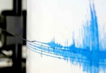 Fuerte sismo de 5,2 zarandea varias regiones de Chile sismografo