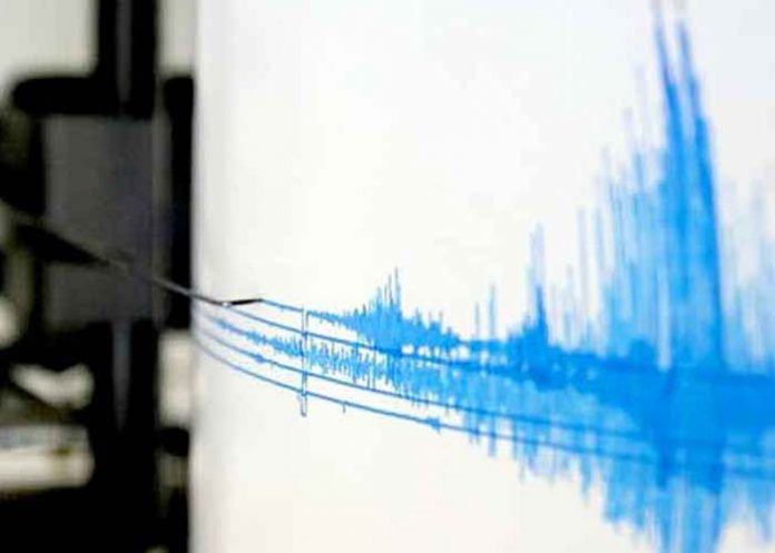 Untitled-1_5ilpNip sismografo