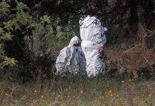 Hallan diez cadáveres en dos fosas clandestinas de Jalisco tonala