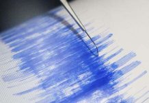 Fuerte sismo de magnitud 5,2 sacude centro de Chile sismografo