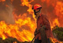 Alerta máxima en Chile tras 195 incendios en cuatro días incendios forestales