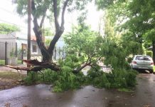 Temporal deja a más de 50.000 personas sin luz en Uruguay uruguay