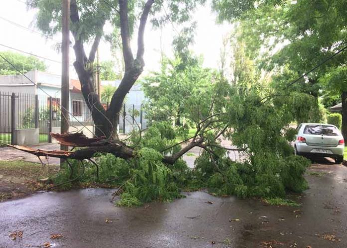 Untitled-1_8FmQGvr uruguay