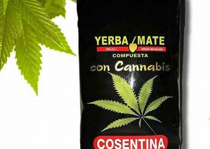 yerba mate