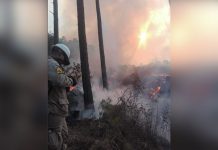Incendios forestales consumen casi 19 mil hectáreas en Honduras incendio forestal