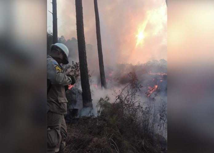 incendio forestal
