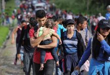 migrantes