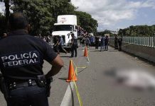 Migrante de nacionalidad desconocida fallece al caer de tráiler en México policia federal