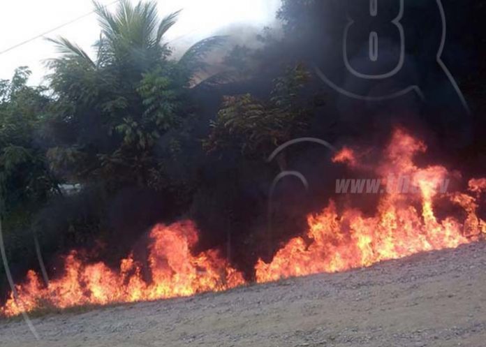 Untitled-1_9YACKKS incendio