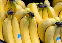 Costa Rica denuncia amenaza a precios del banano latinoamericano bananos