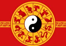 Conocé que te prepara este año nuevo con el Horóscopo Chino 2019 astrologia