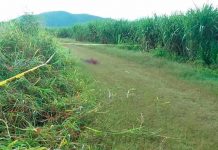 Honduras: Matan salvajemente a joven y dejan como mensaje «zorra» crimen