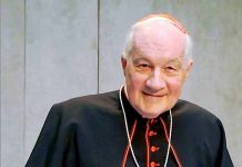 cardenal