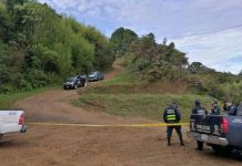 Costa Rica: Asesinan a hombres y dejan cadáveres en cajuela de carro crimen
