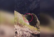 Bus cae a un abismo y deja 12 muertos en Perú peru