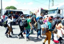 migrantes