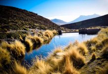 Bolivia y Chile acudirán otra vez ante La Haya por aguas fronterizas bolivia