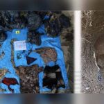 Encuentran más de 160 cadáveres en fosa clandestina de Veracruz, México cadaveres