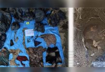 Encuentran más de 160 cadáveres en fosa clandestina de Veracruz, México cadaveres