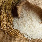 Productores europeos piden aranceles para importaciones de arroz importacion