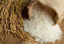Productores europeos piden aranceles para importaciones de arroz importacion