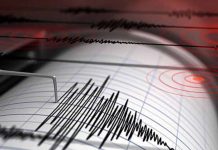 Sismo de magnitud 4 sacude el oeste de Venezuela sismografo