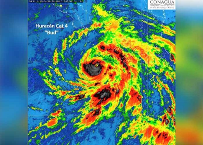 huracan bud
