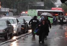 Tormenta Tropical Tara causa torrenciales lluvias en México lluvias