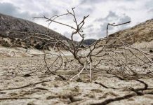 Colombia en alerta por pronóstico de intensa sequía sequia