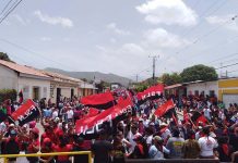 jalapa