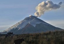 Ecuador: Registran alta actividad del volcán Reventador ecuador