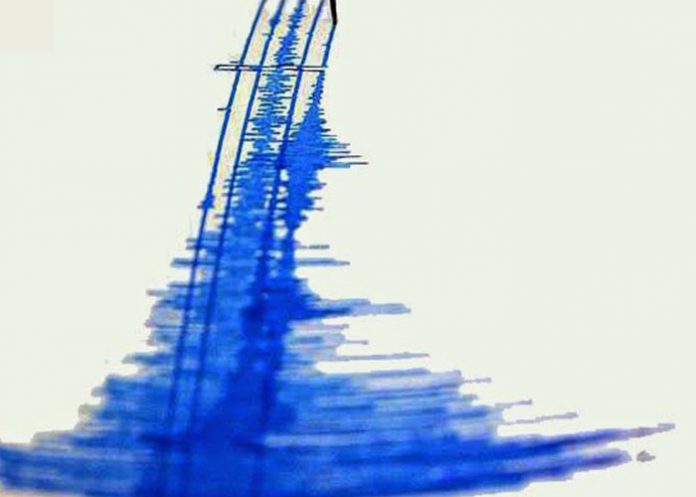 Untitled-1_NqR7sLq sismografo