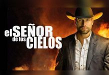 rafael amaya