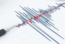 Activan alerta sísmica en México por fuerte sismo de 5,9 sismografo