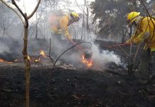 México: Incendio forestal provoca alerta atmosférica en Guadalajara incendio forestal