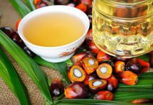 Producción de aceite de palma genera US$ 175 millones al año en Perú aceite